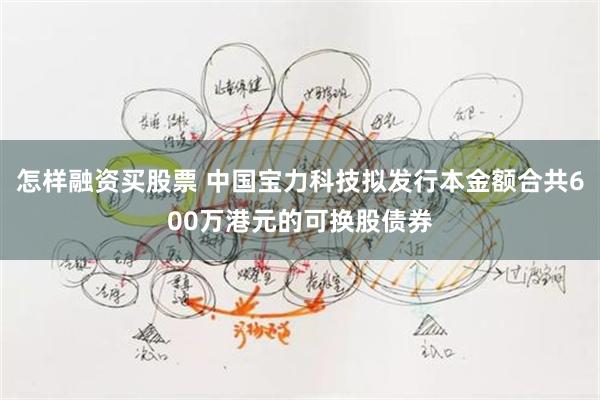 怎样融资买股票 中国宝力科技拟发行本金额合共600万港元的可换股债券