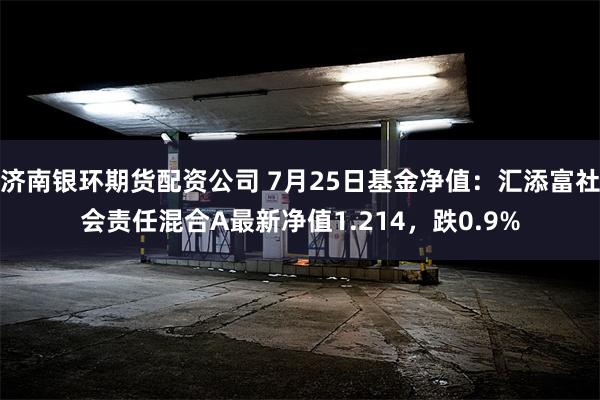 济南银环期货配资公司 7月25日基金净值：汇添富社会责任混合A最新净值1.214，跌0.9%