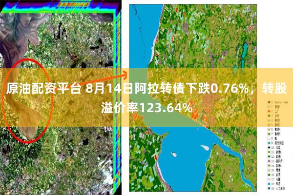 原油配资平台 8月14日阿拉转债下跌0.76%，转股溢价率123.64%