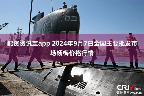 配资资讯宝app 2024年9月7日全国主要批发市场杨梅价格行情