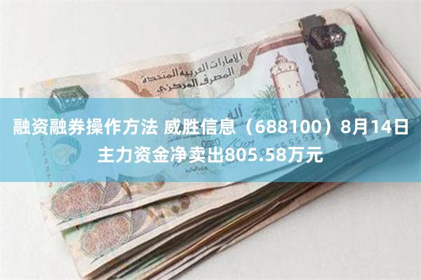 融资融券操作方法 威胜信息（688100）8月14日主力资金净卖出805.58万元