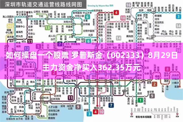 如何操盘一个股票 罗普斯金（002333）8月29日主力资金净买入362.35万元