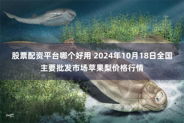 股票配资平台哪个好用 2024年10月18日全国主要批发市场苹果梨价格行情