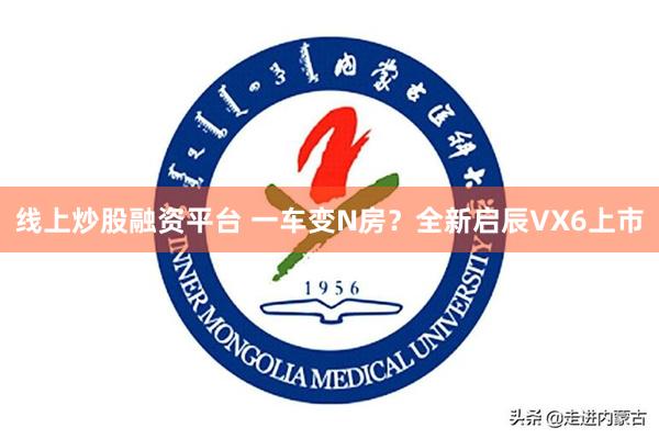 线上炒股融资平台 一车变N房？全新启辰VX6上市