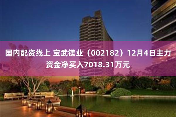 国内配资线上 宝武镁业（002182）12月4日主力资金净买入7018.31万元