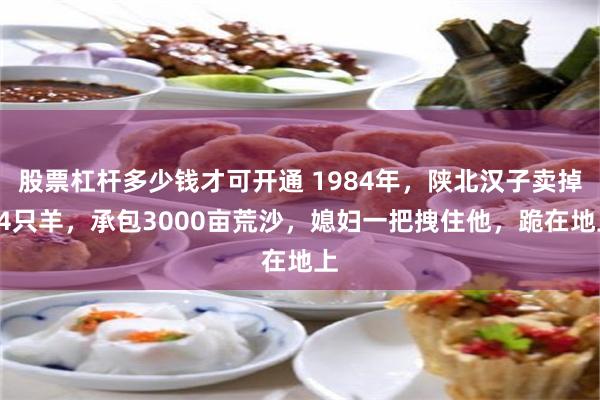 股票杠杆多少钱才可开通 1984年，陕北汉子卖掉84只羊，承包3000亩荒沙，媳妇一把拽住他，跪在地上