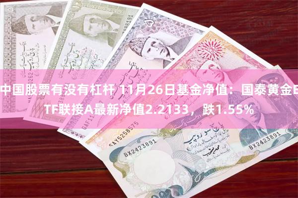 中国股票有没有杠杆 11月26日基金净值：国泰黄金ETF联接A最新净值2.2133，跌1.55%