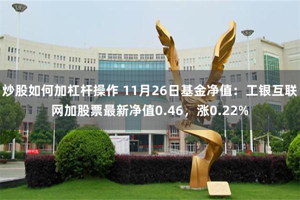 炒股如何加杠杆操作 11月26日基金净值：工银互联网加股票最新净值0.46，涨0.22%