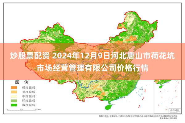 炒股票配资 2024年12月9日河北唐山市荷花坑市场经营管理有限公司价格行情