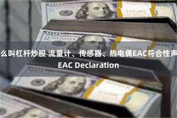 什么叫杠杆炒股 流量计、传感器、热电偶EAC符合性声明EAC Declaration