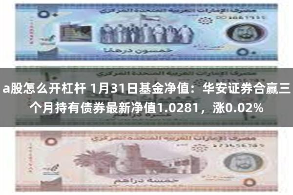 a股怎么开杠杆 1月31日基金净值：华安证券合赢三个月持有债券最新净值1.0281，涨0.02%