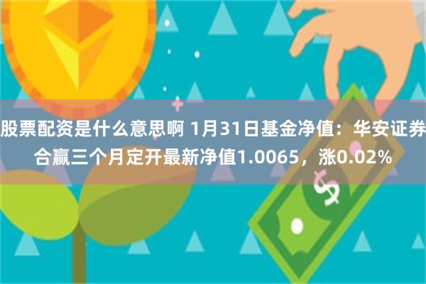 股票配资是什么意思啊 1月31日基金净值：华安证券合赢三个月定开最新净值1.0065，涨0.02%