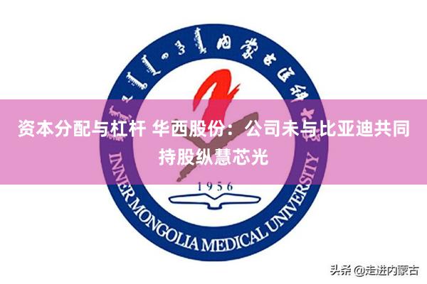 资本分配与杠杆 华西股份：公司未与比亚迪共同持股纵慧芯光