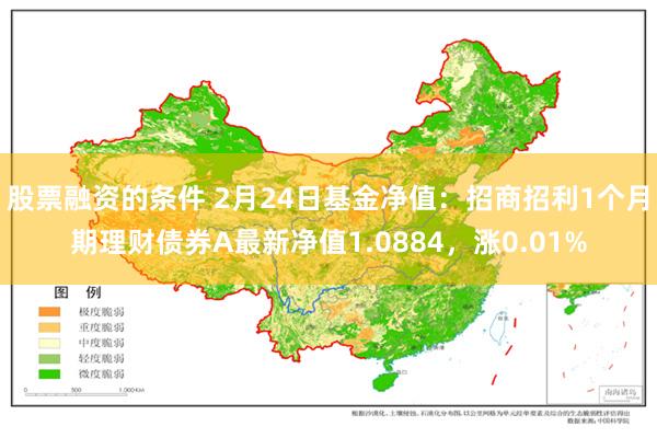 股票融资的条件 2月24日基金净值：招商招利1个月期理财债券A最新净值1.0884，涨0.01%