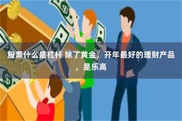 股票什么是杠杆 除了黄金，开年最好的理财产品，是乐高